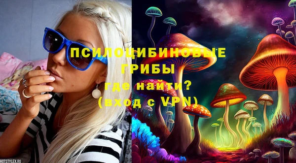 не бодяженный Абаза