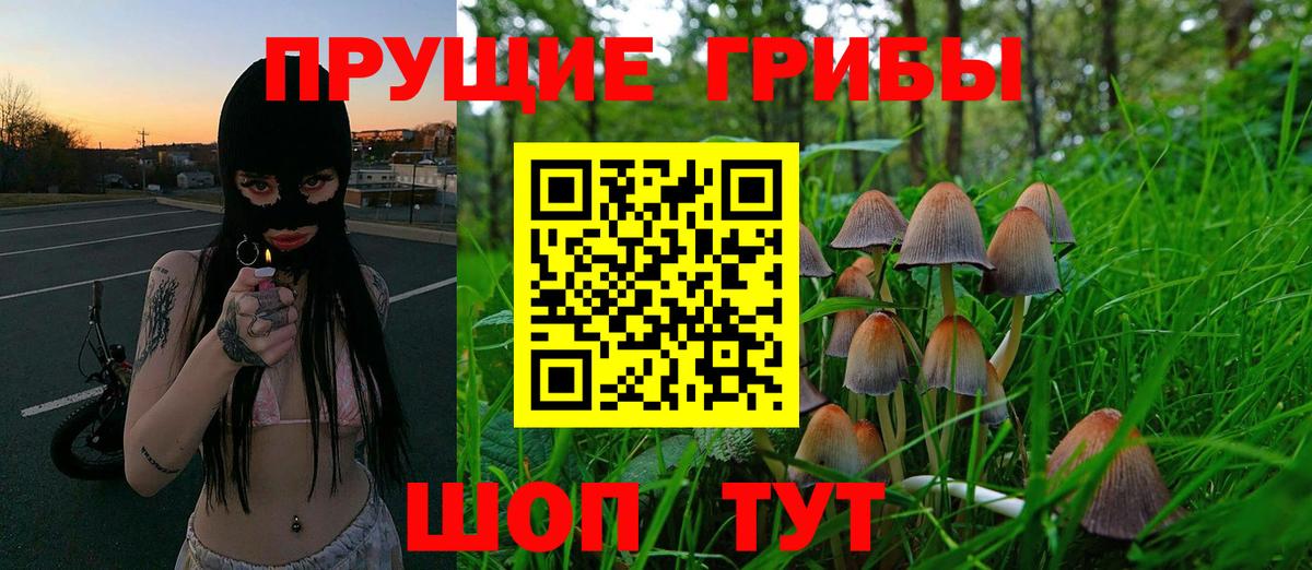 Галлюциногенные грибы ЛСД  Вход с VPN  Людиново 