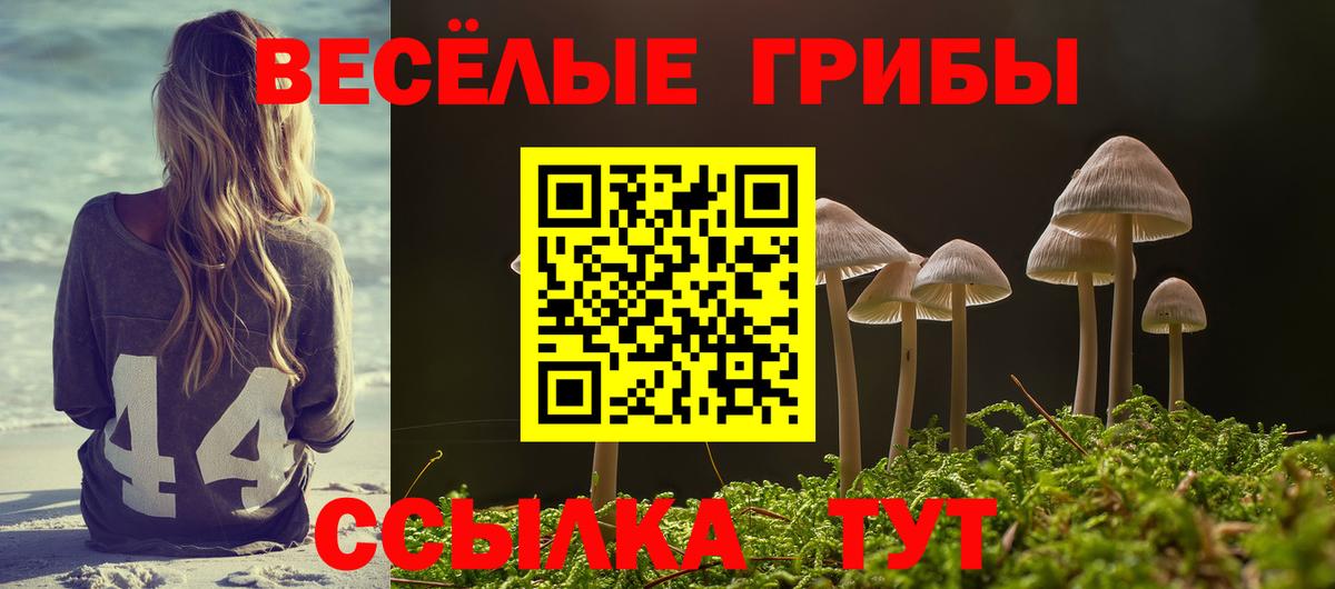 Галлюциногенные грибы Magic Shrooms Людиново